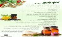 ماموریت ویژه گیاهان دارویی در کلان منطقه یک