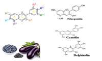 ساختار رایجترین آنتوسیانین های موجود در گیاهان دارویی