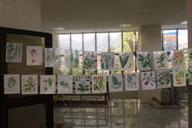 چهارمین جشنواره گیاهان دارویی در دانشکده داروسازی برگزار شد