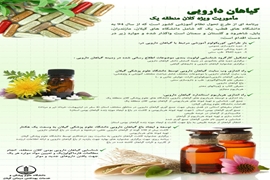 ماموریت ویژه گیاهان دارویی در کلان منطقه یک