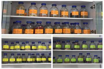 نمونه گیاه های خشک شده