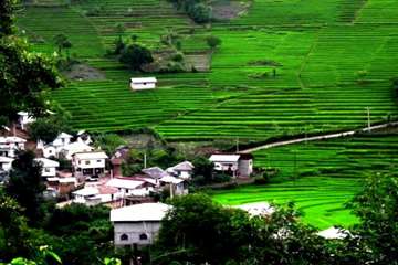 استان گیلان