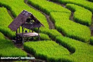 استان گیلان