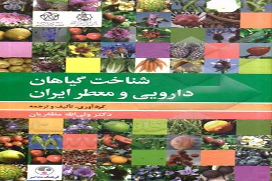 شناخت گیاهان دارویی -6,