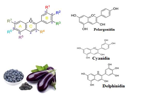 ساختار رایجترین -6,
